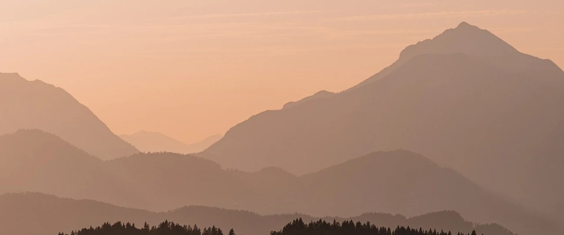 博彩导航PG电子